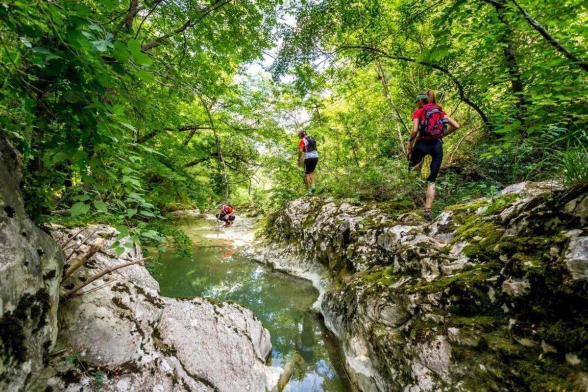 Casa Stella Villa Draguc Dış mekan fotoğraf